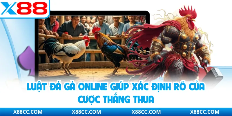 Luật Đá Gà Online X88 Và Các Nguyên Tắc Phân Định Thắng Thua 4 Luật Đá Gà Online X88 Và Các Nguyên Tắc Phân Định Thắng Thua
